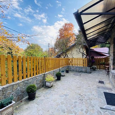 Apartment Carol Private Yard With Barbeque And Parking ซินายา ภายนอก รูปภาพ