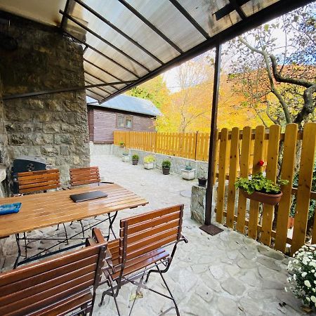 Apartment Carol Private Yard With Barbeque And Parking ซินายา ภายนอก รูปภาพ
