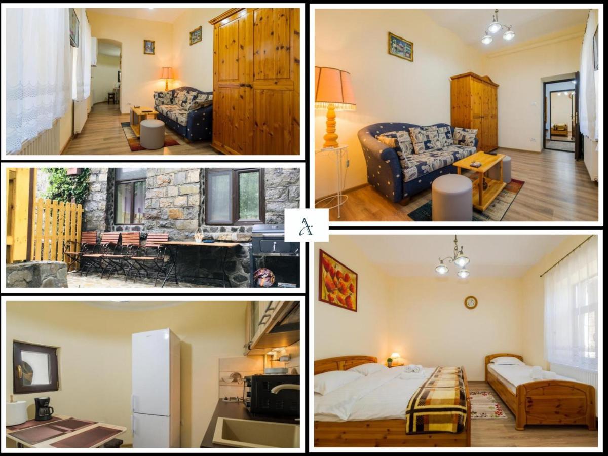 Apartment Carol Private Yard With Barbeque And Parking ซินายา ภายนอก รูปภาพ