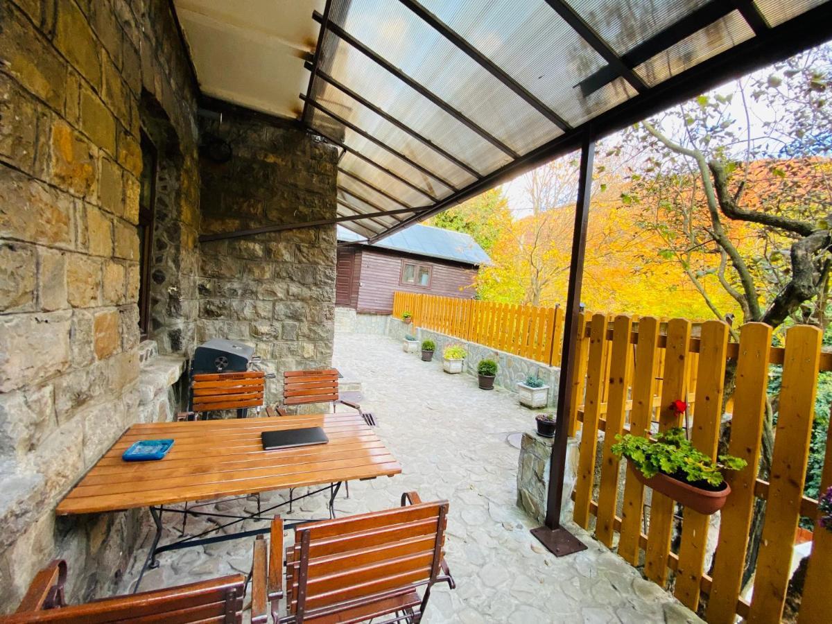 Apartment Carol Private Yard With Barbeque And Parking ซินายา ภายนอก รูปภาพ