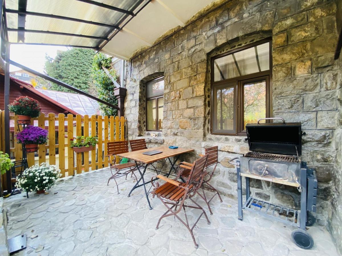 Apartment Carol Private Yard With Barbeque And Parking ซินายา ภายนอก รูปภาพ