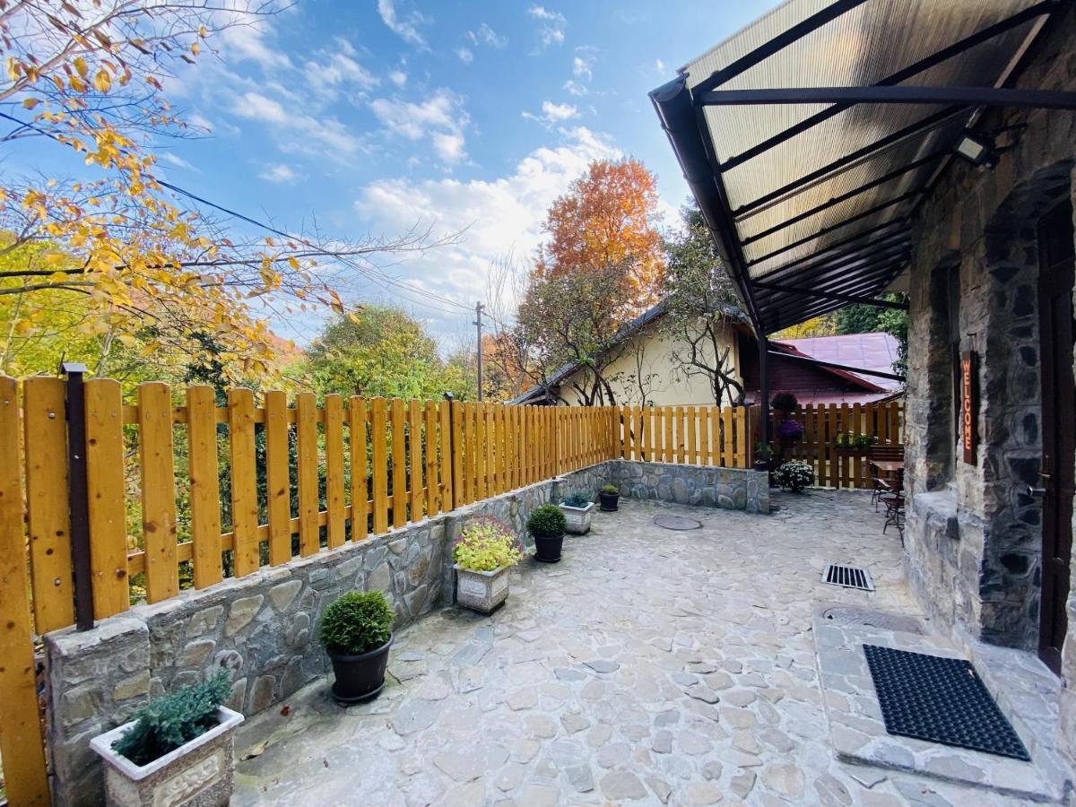 Apartment Carol Private Yard With Barbeque And Parking ซินายา ภายนอก รูปภาพ