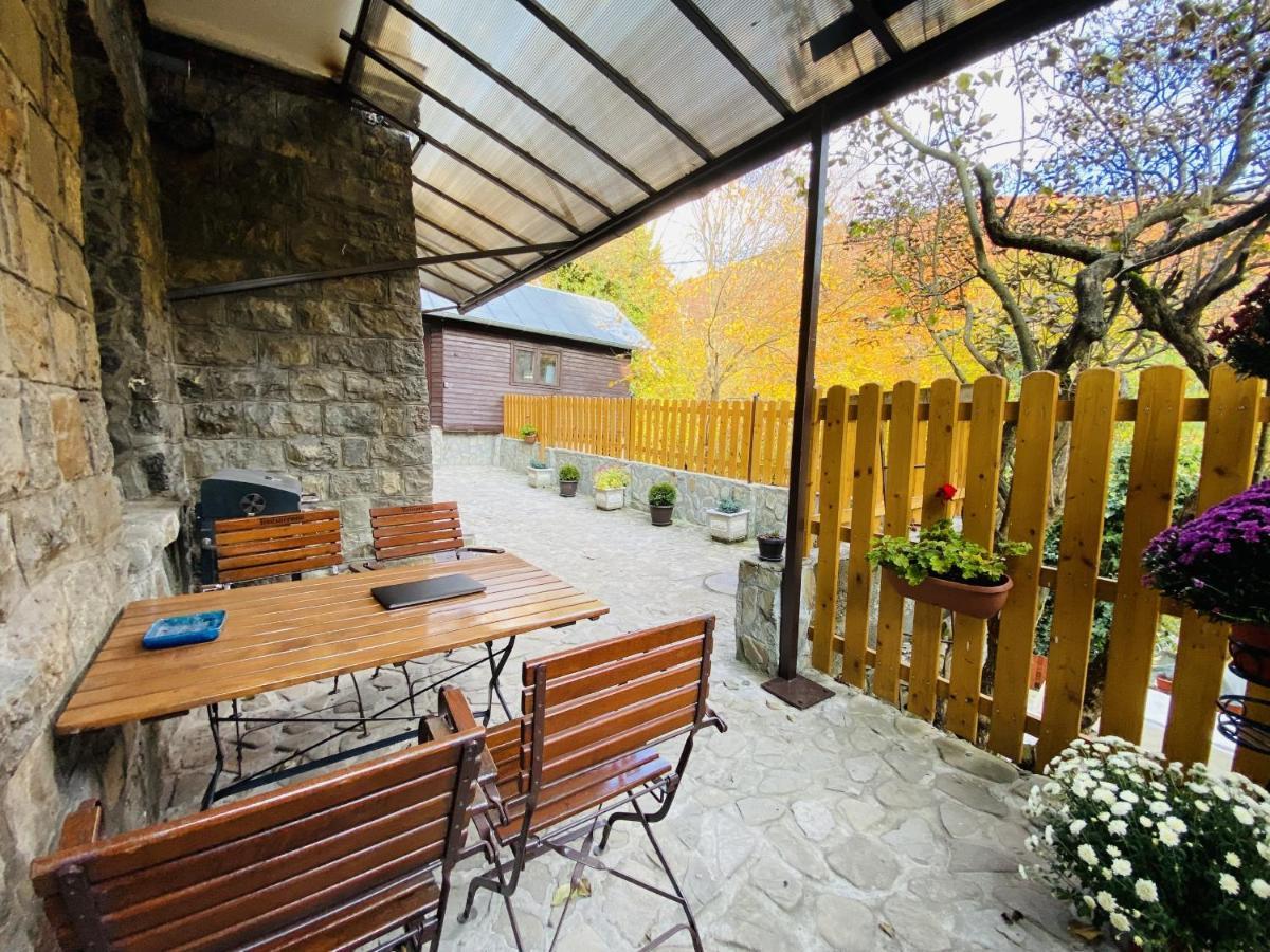 Apartment Carol Private Yard With Barbeque And Parking ซินายา ภายนอก รูปภาพ