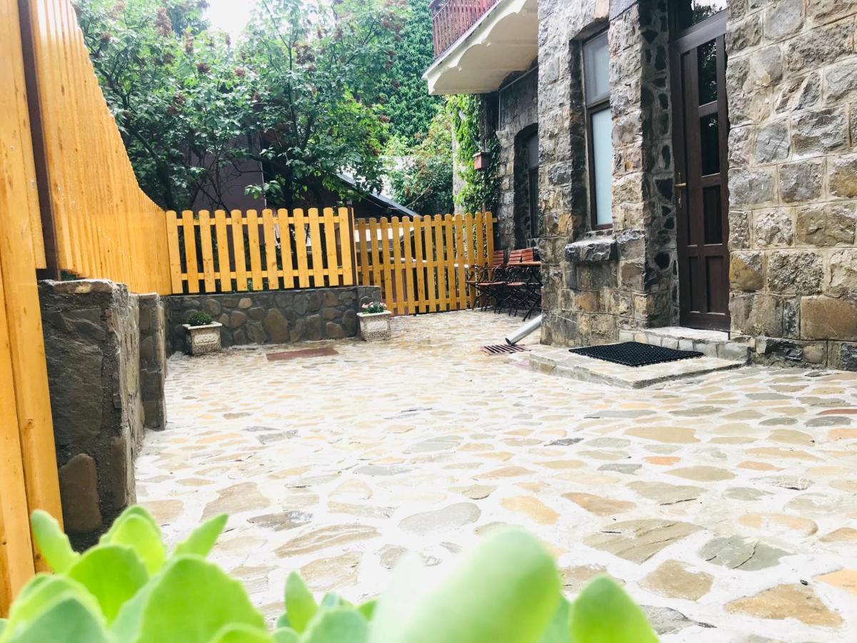 Apartment Carol Private Yard With Barbeque And Parking ซินายา ภายนอก รูปภาพ