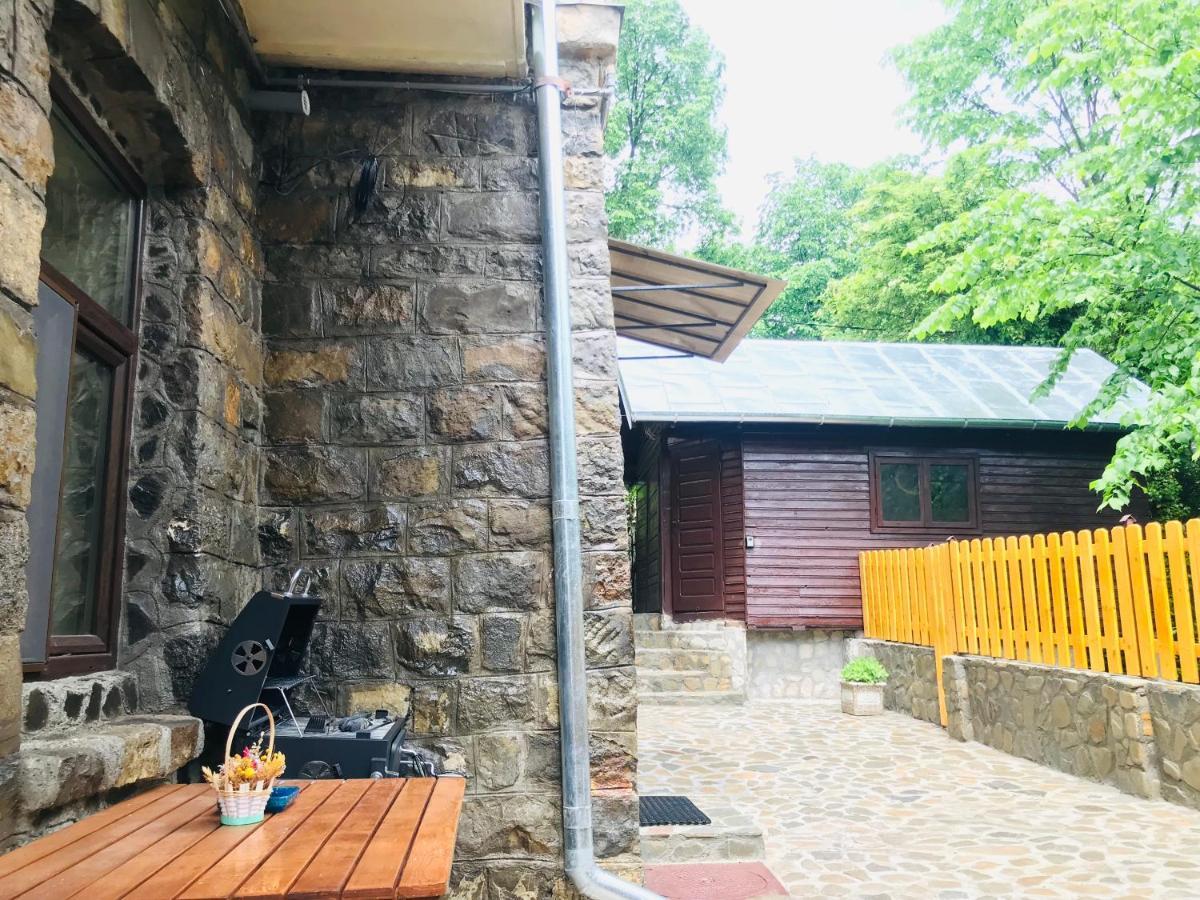 Apartment Carol Private Yard With Barbeque And Parking ซินายา ภายนอก รูปภาพ